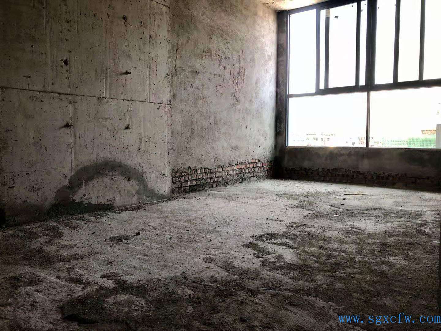 39.jpg