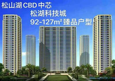 东莞松山湖5栋花园小区《松湖科技城》集体大红本，地下停车场