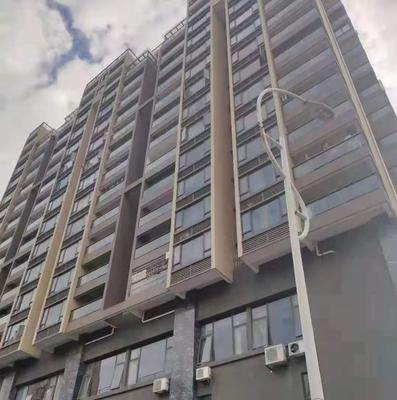 宝安石岩《中心公馆》双地铁物业，稀缺原始户型，内部发售