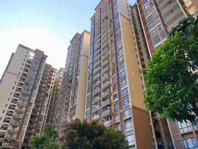 光明新区，多个大型村委统建楼，花园小区，一站式看房