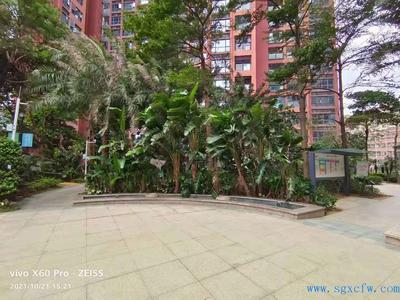 龙岗5栋花园小区《金汐雅居》商品房的品质，小产权房的价格